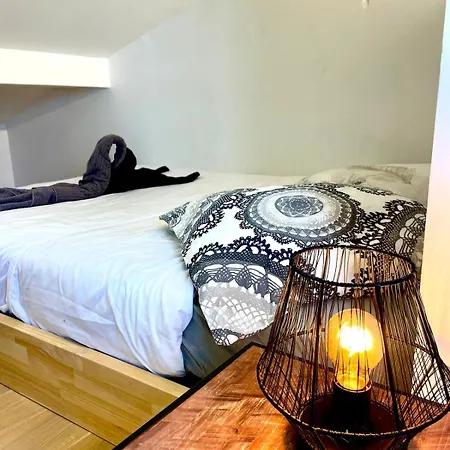 Appartement Petit Nid Sous Les Toits De Toulouse