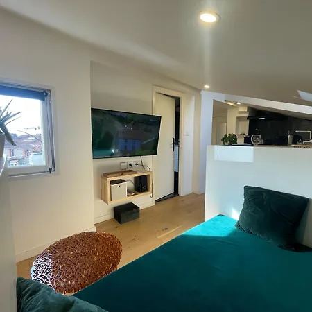 Petit Nid Sous Les Toits De