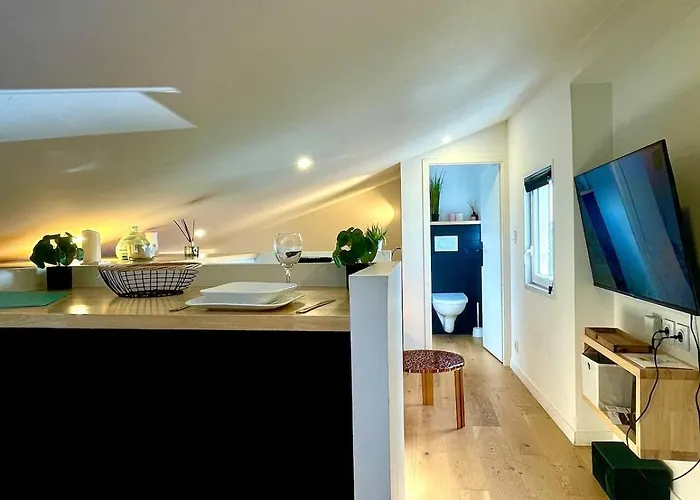 Petit Nid Sous Les Toits De Toulouse