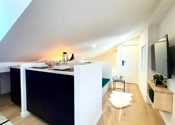 Petit Nid Sous Les Toits De