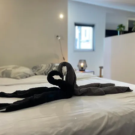 Petit Nid Sous Les Toits De * Toulouse