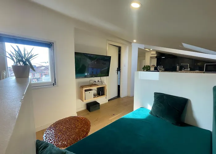 Petit Nid Sous Les Toits De