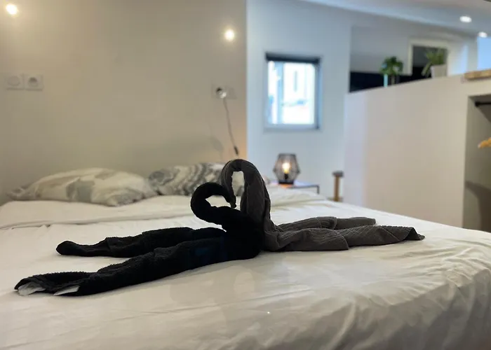 Petit Nid Sous Les Toits De * Toulouse