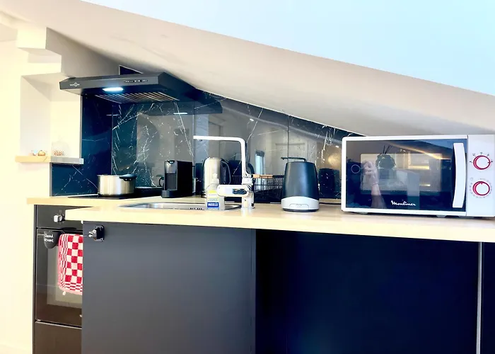 Apartamento Petit Nid Sous Les Toits De *